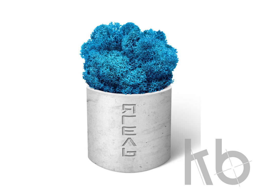 Мох Ягель натуральный