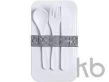 anti-bacterial lunch box