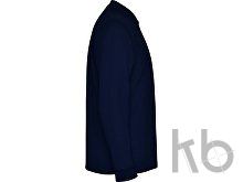 Рубашка поло «Carpe» мужская с длинным рукавом