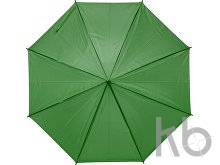 Polyester (170T) umbrella