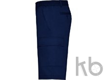 Шорты «Armour», мужские