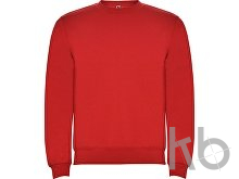 Свитшот с начесом «Clasica» унисекс