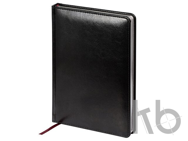 Ежедневник недатированный А5 «Sidney Nebraska»