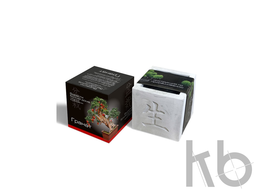 Подарочный набор «Вырасти Бонсай дома. Гранат»