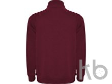 Свитшот «Aneto» мужской