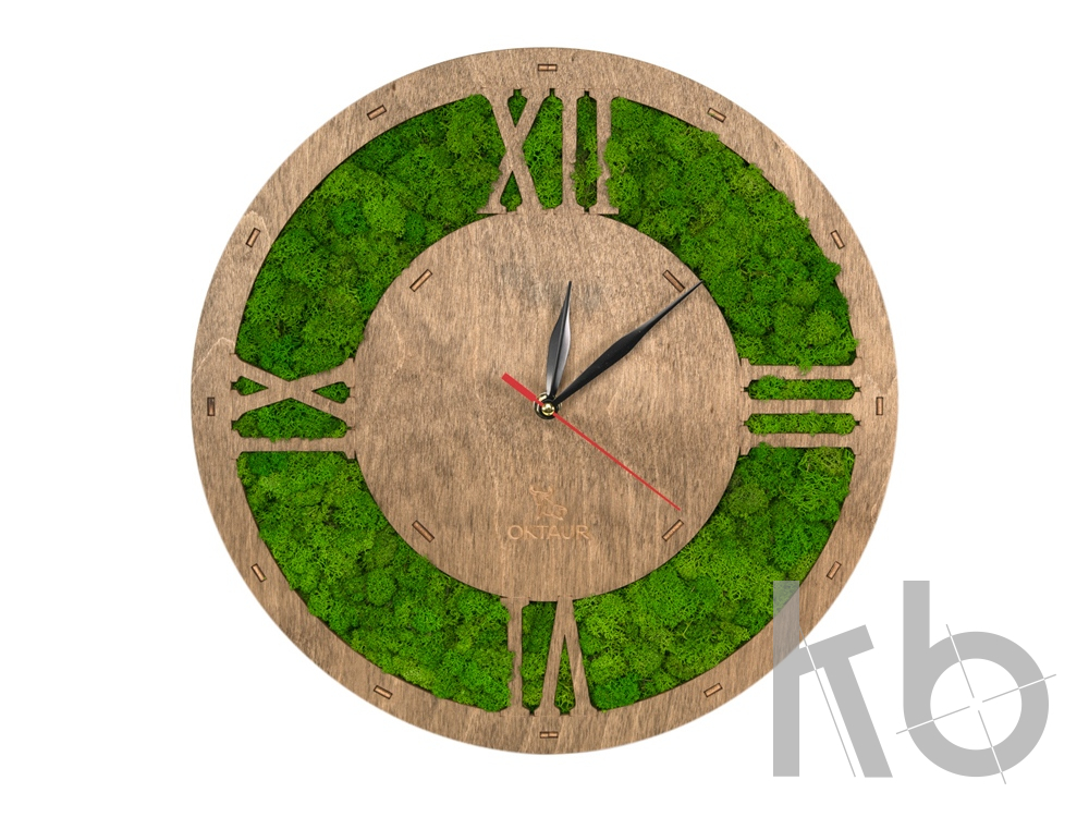 Настенные часы со мхом «Римские»
