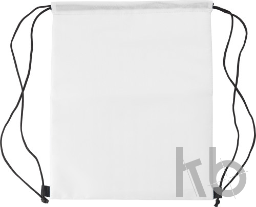 Polyester (210D) cooler bag