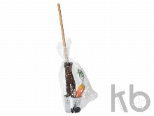 Набор «Зимняя забава»