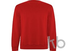 Свитшот из органического хлопка «Batian», унисекс