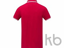 Рубашка поло «Amarago» мужская