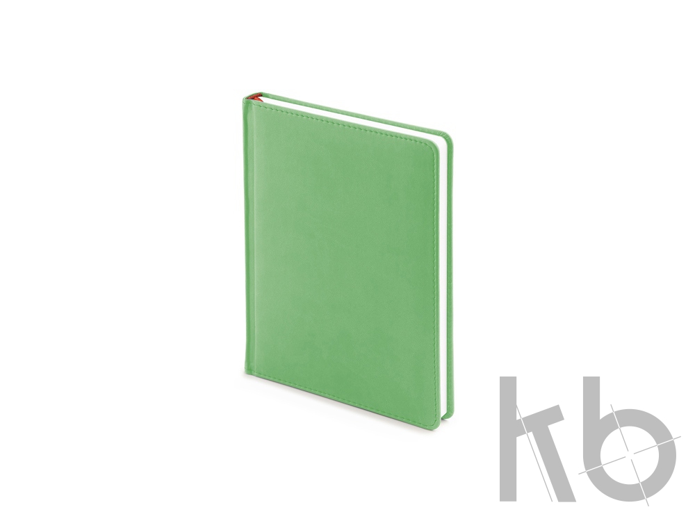 Ежедневник недатированный А6+ «Velvet»