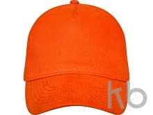 Бейсболка «Doyle»