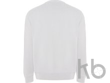 Свитшот из органического хлопка «Batian», унисекс