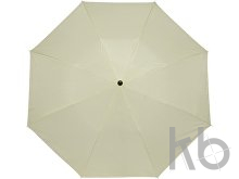 Polyester (190T) umbrella