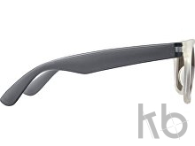 PC sunglasses