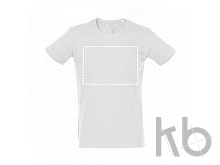 THC SAN MARINO WH. Мужская футболка