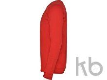 Свитшот «Annapurna» мужской