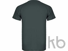 Спортивная футболка «Montecarlo» мужская