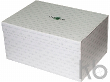 Часы «Принц Аквитании»