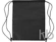Polyester (210D) cooler bag