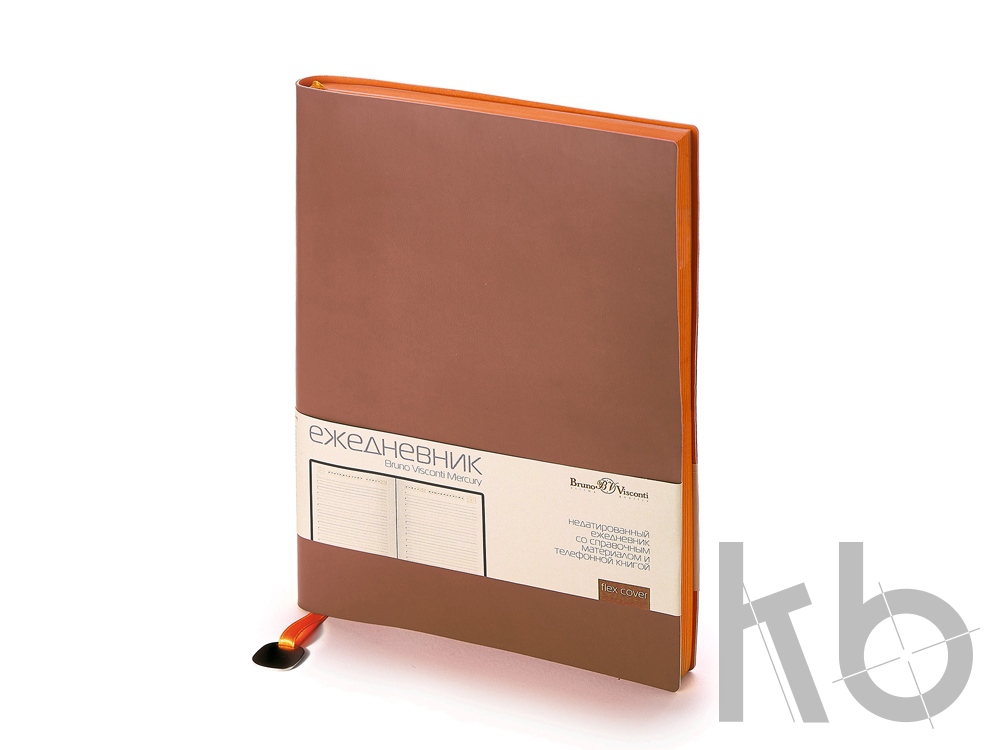 Ежедневник недатированный А5 «Mercury»