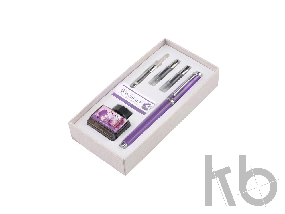 Набор «WE-Share»: ручка перьевая, сменные насадки, конвектор, чернила