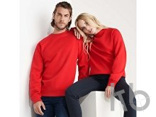 Свитшот из органического хлопка «Batian», унисекс