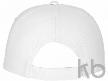 Бейсболка «Feniks»