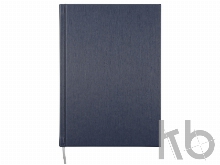 Ежедневник недатированный А5 «Probe AR»