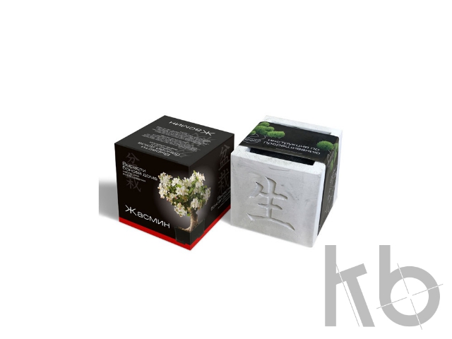 Подарочный набор «Вырасти Бонсай дома. Жасмин»