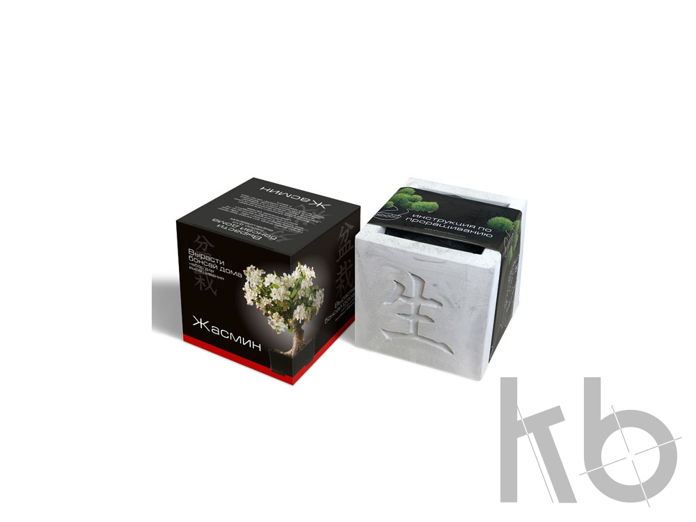 Подарочный набор «Вырасти Бонсай дома. Жасмин»