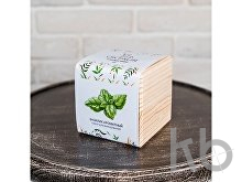 Набор для выращивания «Big village cube «Базилик ароматный»