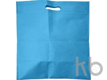 Nonwoven (70 gr/m²) document bag
