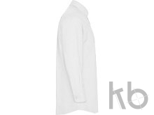 Рубашка с длинным рукавом «Oxford», мужская