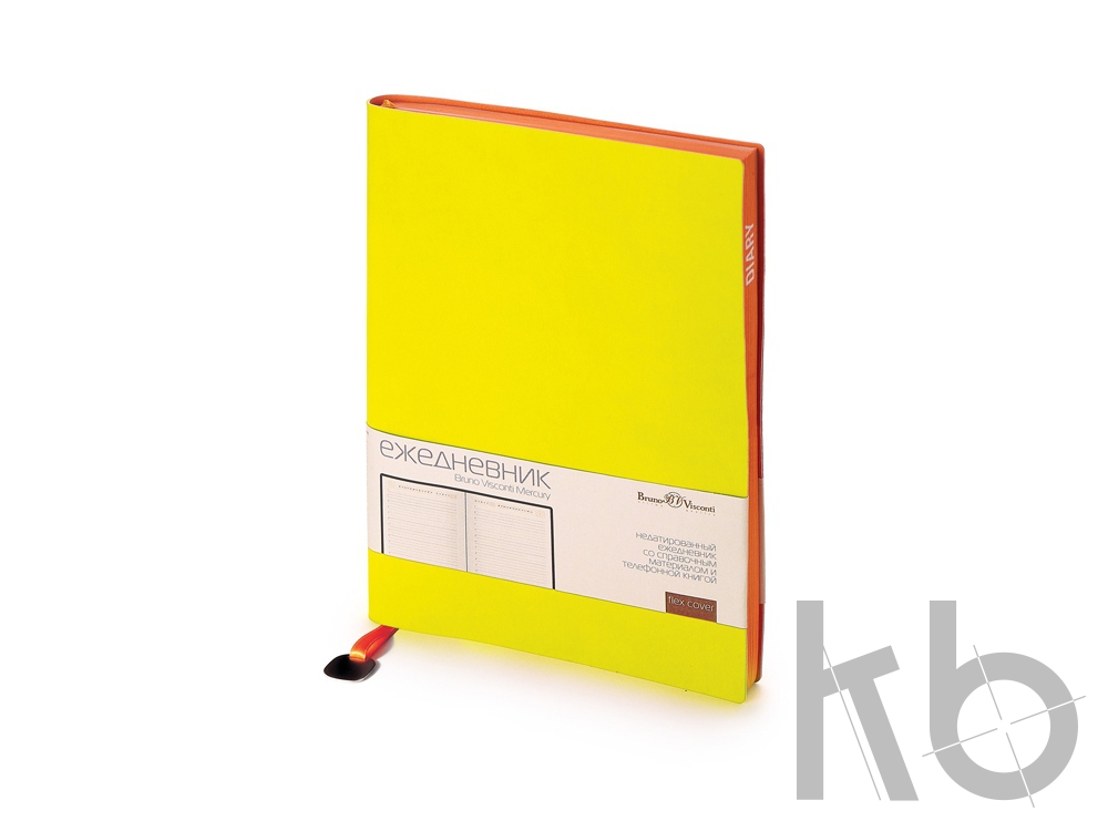 Ежедневник недатированный А5 «Mercury»