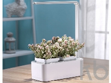 Компактный смарт-сад «iGarden LED» с подсветкой