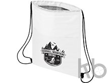 Сумка-холодильник «Oriole» на 12 банок