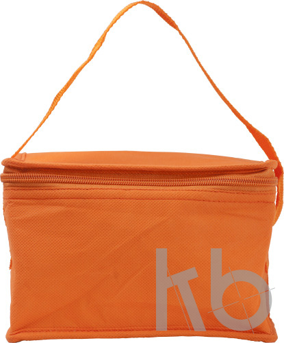 Nonwoven (80 gr/m²) cooler bag