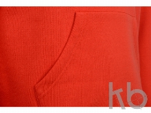 Толстовка с капюшоном «Amsterdam» мужская