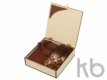 Набор: платок/шарф шелковый, дамское портмоне