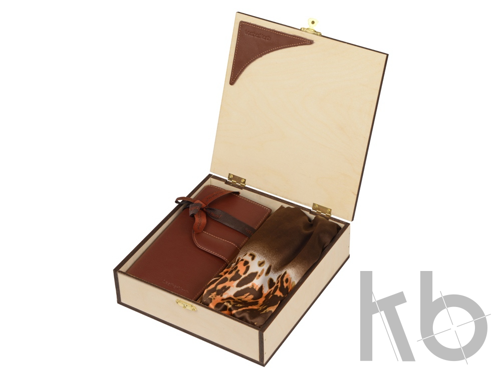 Набор: платок/шарф шелковый, дамское портмоне