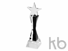 Награда «Звезда»