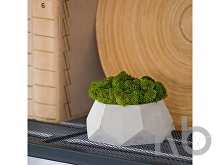 Кашпо бетонное со мхом «Альфа»