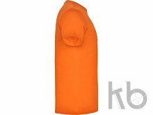 Футболка «Beagle» мужская