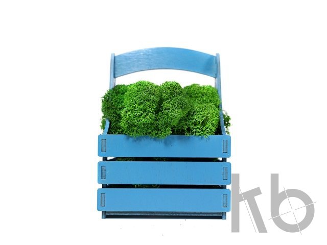 Композиция «Корзинка со мхом»