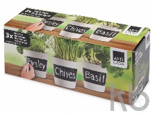 Набор горшочков для растений «Chalk pots»