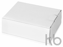 Награда «Скрипичный ключ»