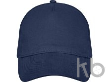 Бейсболка «Doyle»