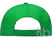 Бейсболка «Poly»