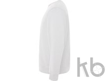 Свитшот из органического хлопка «Batian», унисекс